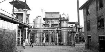 從化肥廠到文藝小鎮(zhèn) 三年內打造4A景區(qū)的互聯(lián)網(wǎng)服務新篇章